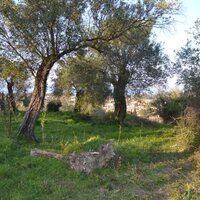 Island in Greece, Ionian Islands, Corfu, 7000 sq.m.