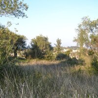 Island in Greece, Ionian Islands, Corfu, 7000 sq.m.