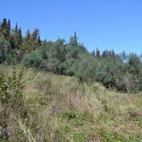Остров в Греции, Ионические острова, Корфу, 8000 кв.м.