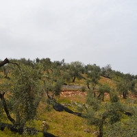 Остров в Греции, Ионические острова, Корфу, 3400 кв.м.