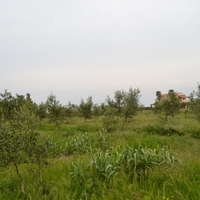 Island in Greece, Ionian Islands, Corfu, 4000 sq.m.