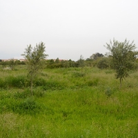 Island in Greece, Ionian Islands, Corfu, 4000 sq.m.