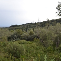 Island in Greece, Ionian Islands, Corfu, 65000 sq.m.