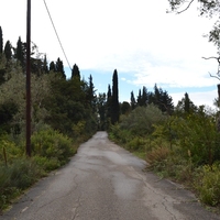Island in Greece, Ionian Islands, Corfu, 65000 sq.m.