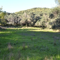 Island in Greece, Ionian Islands, Corfu, 6903 sq.m.