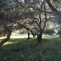 Island in Greece, Ionian Islands, Corfu, 6903 sq.m.
