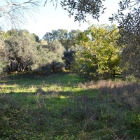 Island in Greece, Ionian Islands, Corfu, 6903 sq.m.