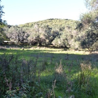 Island in Greece, Ionian Islands, Corfu, 6903 sq.m.