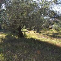 Island in Greece, Ionian Islands, Corfu, 350 sq.m.