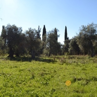 Island in Greece, Ionian Islands, Corfu, 8010 sq.m.