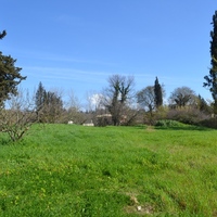 Island in Greece, Ionian Islands, Corfu, 6500 sq.m.