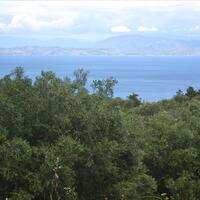 Island in Greece, Ionian Islands, Corfu, 3700 sq.m.