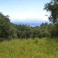 Island in Greece, Ionian Islands, Corfu, 3700 sq.m.