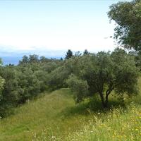 Island in Greece, Ionian Islands, Corfu, 3700 sq.m.
