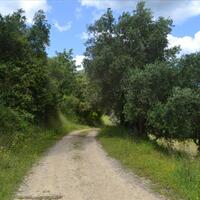 Island in Greece, Ionian Islands, Corfu, 3700 sq.m.