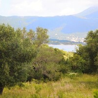 Остров в Греции, Ионические острова, Корфу, 5500 кв.м.
