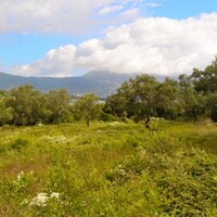 Остров в Греции, Ионические острова, Корфу, 5500 кв.м.
