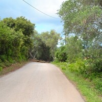 Остров в Греции, Ионические острова, Корфу, 5500 кв.м.