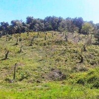 Остров в Греции, Ионические острова, Корфу, 5684 кв.м.