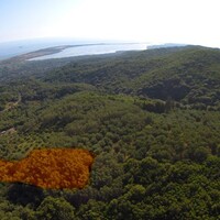 Island in Greece, Ionian Islands, Corfu, 5000 sq.m.