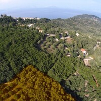 Island in Greece, Ionian Islands, Corfu, 5000 sq.m.