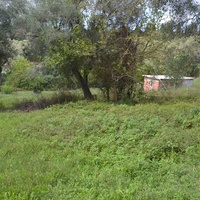 Island in Greece, Ionian Islands, Corfu, 700 sq.m.