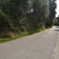 Island in Greece, Ionian Islands, Corfu, 700 sq.m.