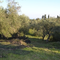 Island in Greece, Ionian Islands, Corfu, 8253 sq.m.