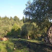 Island in Greece, Ionian Islands, Corfu, 8253 sq.m.