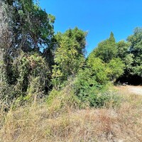 Остров в Греции, Ионические острова, Корфу, 2500 кв.м.