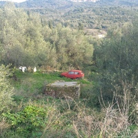 Island in Greece, Ionian Islands, Corfu, 12437 sq.m.
