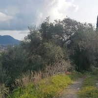 Island in Greece, Ionian Islands, Corfu, 12437 sq.m.