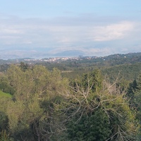Island in Greece, Ionian Islands, Corfu, 12437 sq.m.