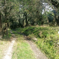 Island in Greece, Ionian Islands, Corfu, 3315 sq.m.