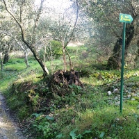 Island in Greece, Ionian Islands, Corfu, 3315 sq.m.