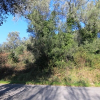 Island in Greece, Ionian Islands, Corfu, 1000 sq.m.