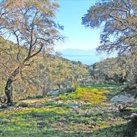 Island in Greece, Ionian Islands, Corfu, 2415 sq.m.