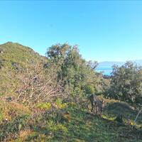 Island in Greece, Ionian Islands, Corfu, 2415 sq.m.