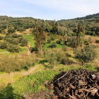 Остров в Греции, Ионические острова, Корфу, 8500 кв.м.
