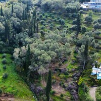 Island in Greece, Ionian Islands, Corfu, 7000 sq.m.