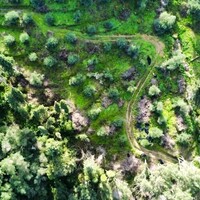 Island in Greece, Ionian Islands, Corfu, 7000 sq.m.