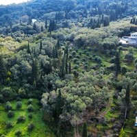Island in Greece, Ionian Islands, Corfu, 7000 sq.m.