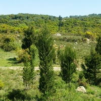 Island in Greece, Ionian Islands, Corfu, 9375 sq.m.