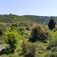 Island in Greece, Ionian Islands, Corfu, 9375 sq.m.