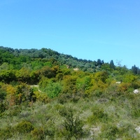 Island in Greece, Ionian Islands, Corfu, 9375 sq.m.
