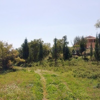 Island in Greece, Ionian Islands, Corfu, 9375 sq.m.