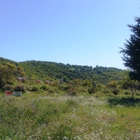 Island in Greece, Ionian Islands, Corfu, 9375 sq.m.