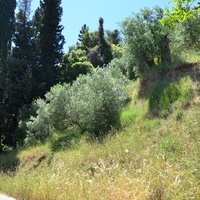 Island in Greece, Ionian Islands, Corfu, 3005 sq.m.