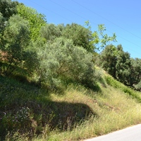Island in Greece, Ionian Islands, Corfu, 3005 sq.m.