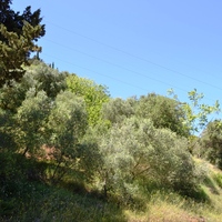 Island in Greece, Ionian Islands, Corfu, 3005 sq.m.